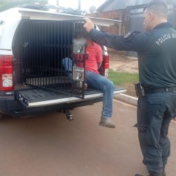 Após duas fugas, homem procurado por violência doméstica é preso pela PM em Três Lagoas