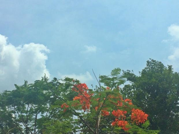 Pancadas de chuva e trovoadas isoladas são previstas em MS