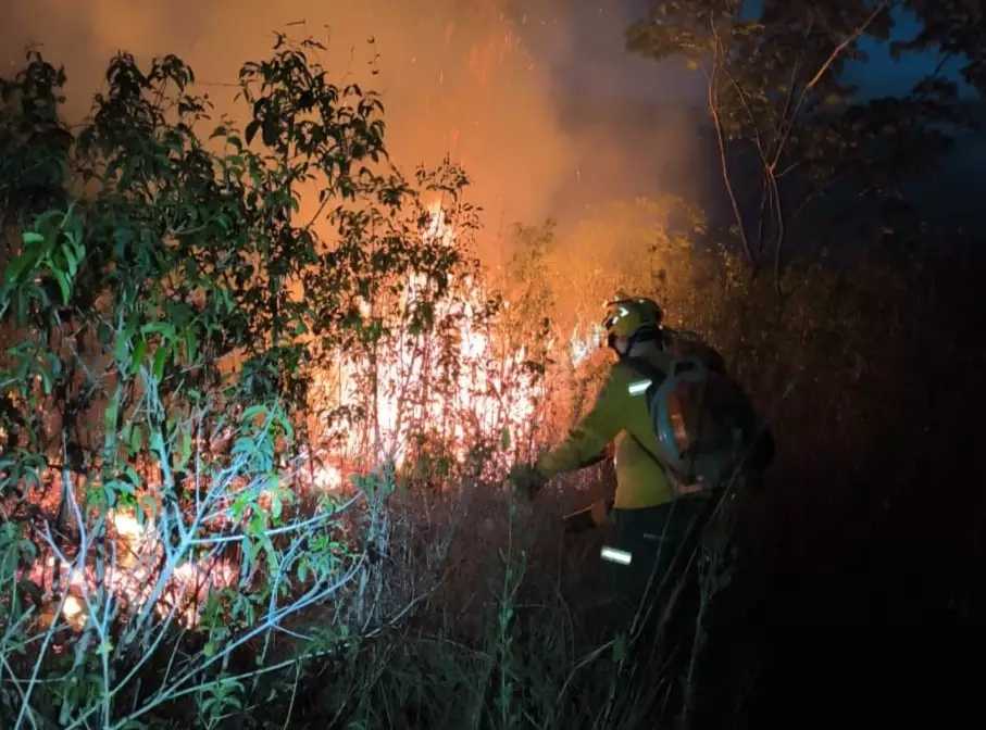 Brigadista do Prevfogo durante ação de combate às chamas no Pantanal (Foto: divulgação). 