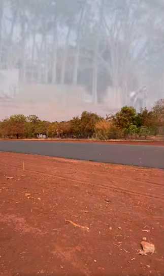 Imagem 1 da galeria