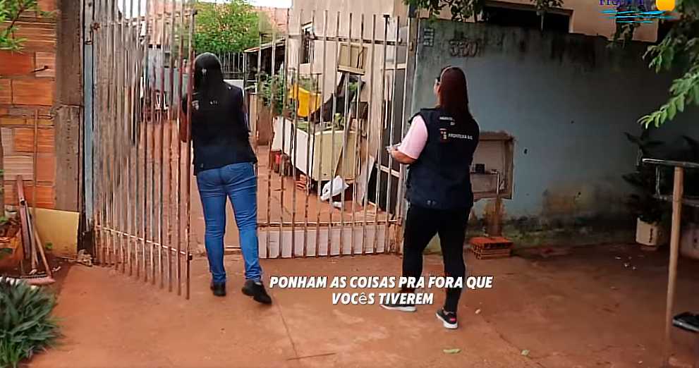 Imagem 1 da galeria