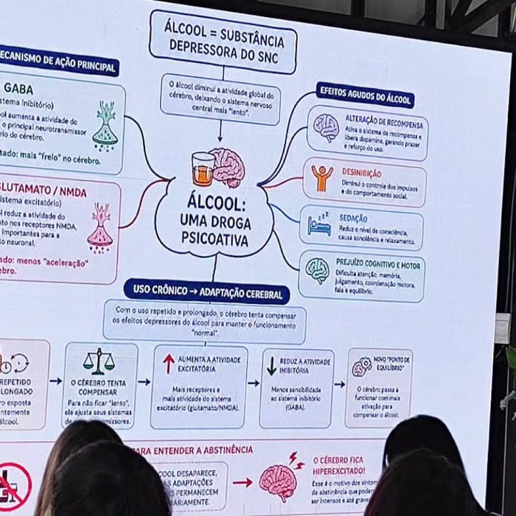 Imagem 3 da galeria