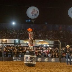 Imagem 111 da galeria