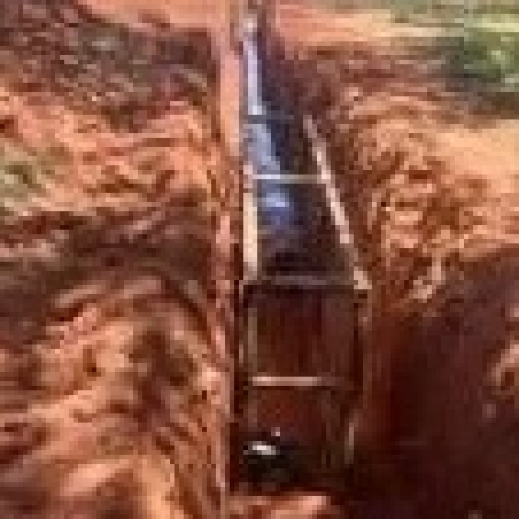 Imagem 1 da galeria