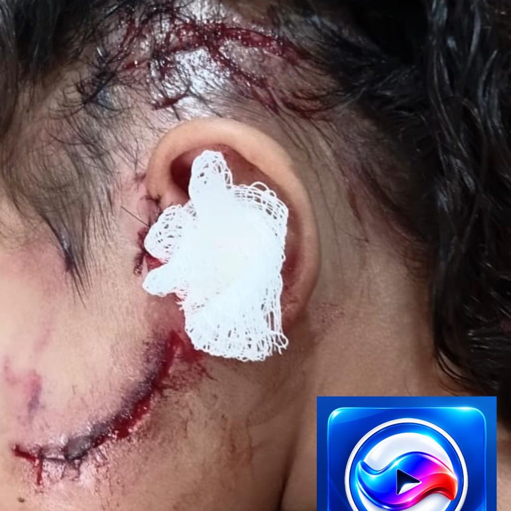 Imagem 1 da galeria