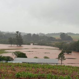Chuva de São Miguel supera 210 milímetros em poucos dias