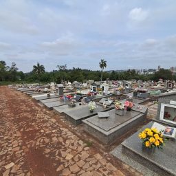 Finados exige atenção redobrada contra a dengue nos cemitérios de Ibirubá