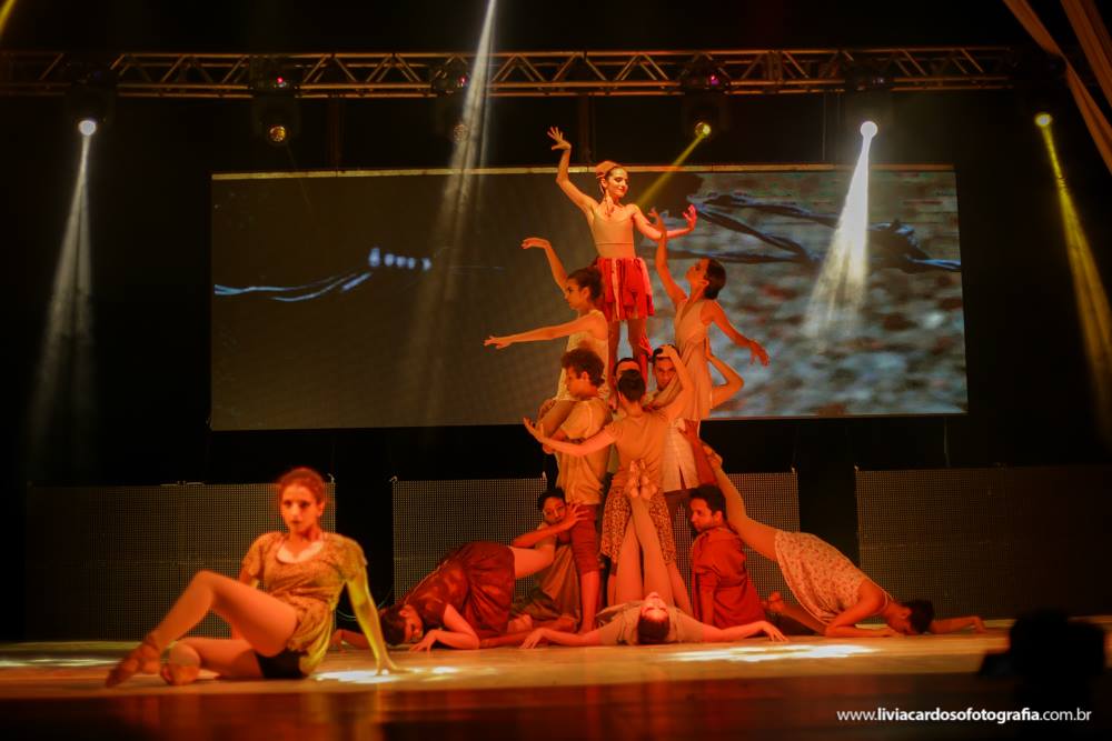 Imagem 2 da galeria