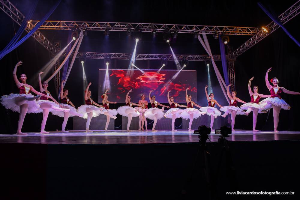 Imagem 3 da galeria