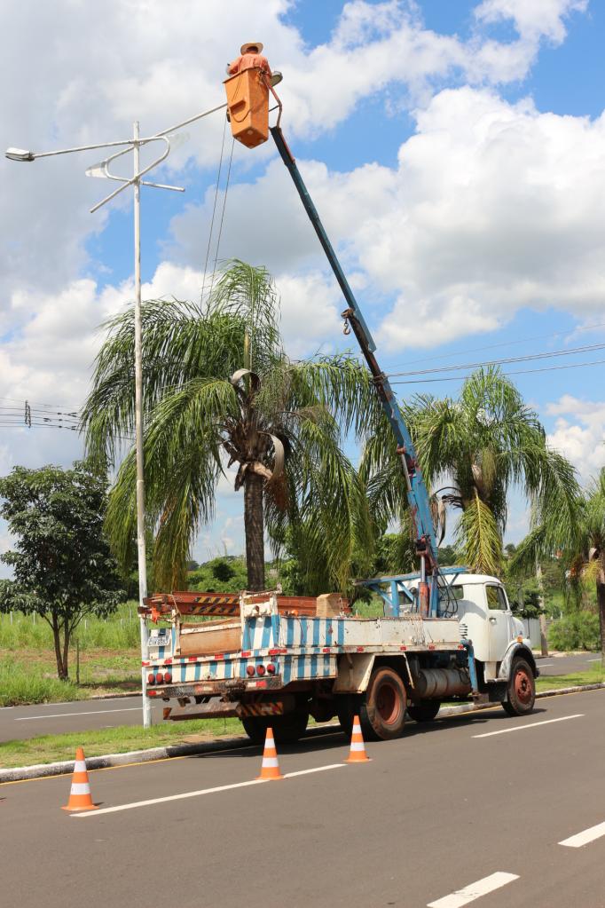 A Prefeitura analisa projetos que visam substituir luminárias ornamentais por luminárias de LED