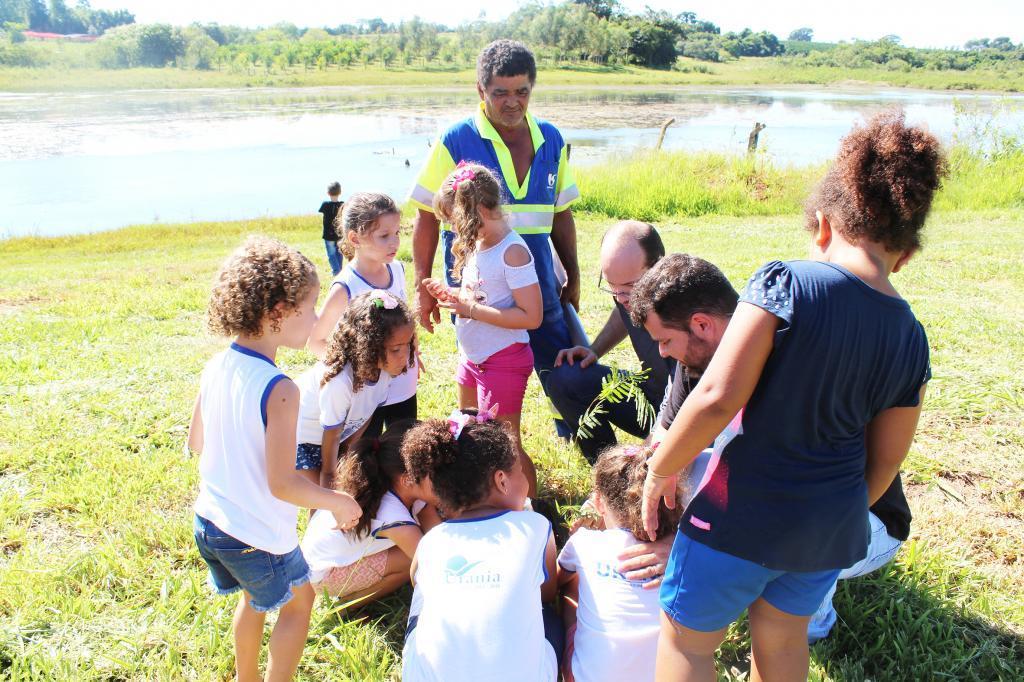Plantio de mudas de árvores