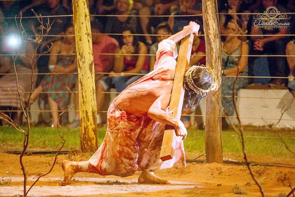 Imagem 1 da galeria