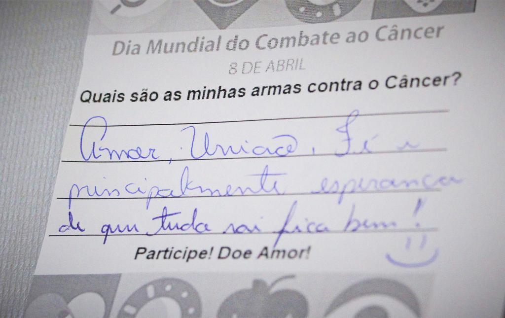 Imagem 2 da galeria