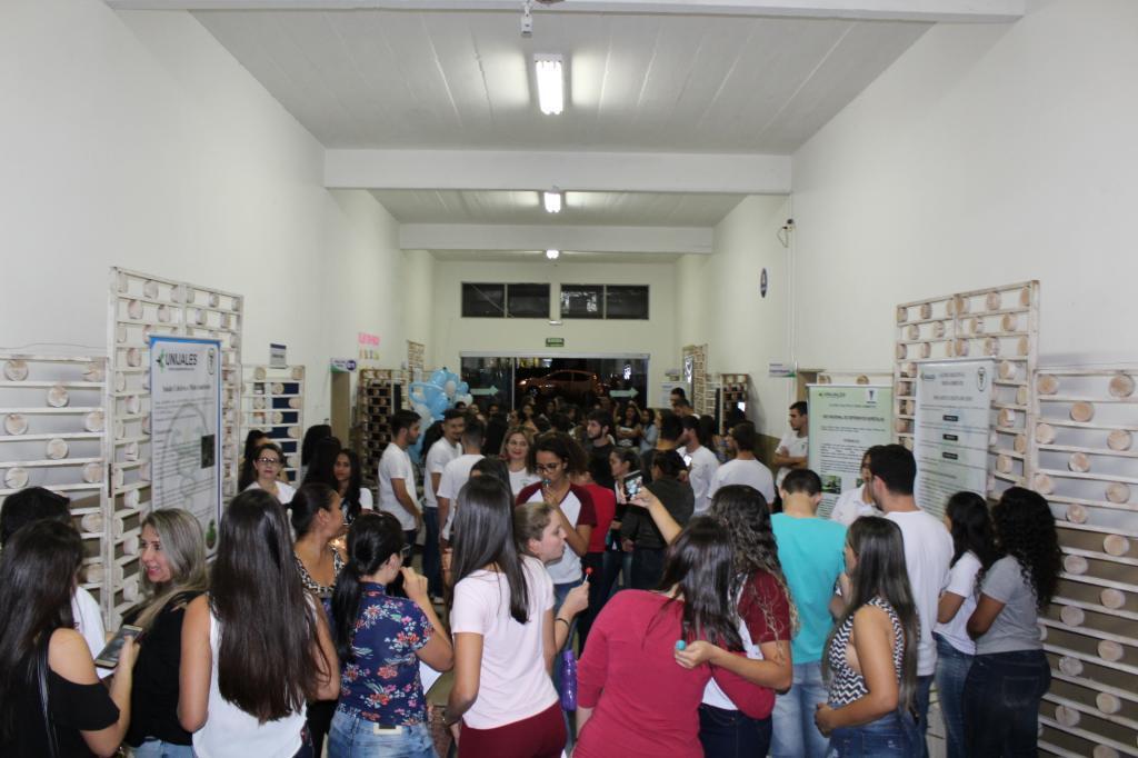 Imagem 2 da galeria