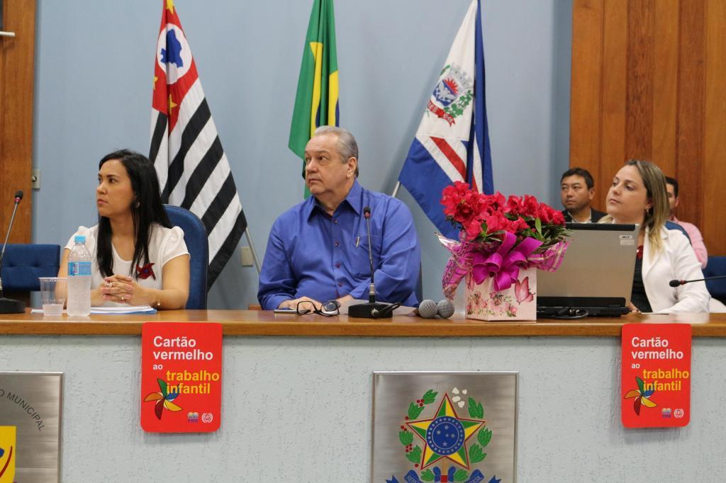 Imagem 1 da galeria