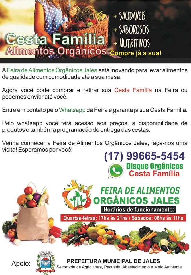 Imagem 1 da galeria