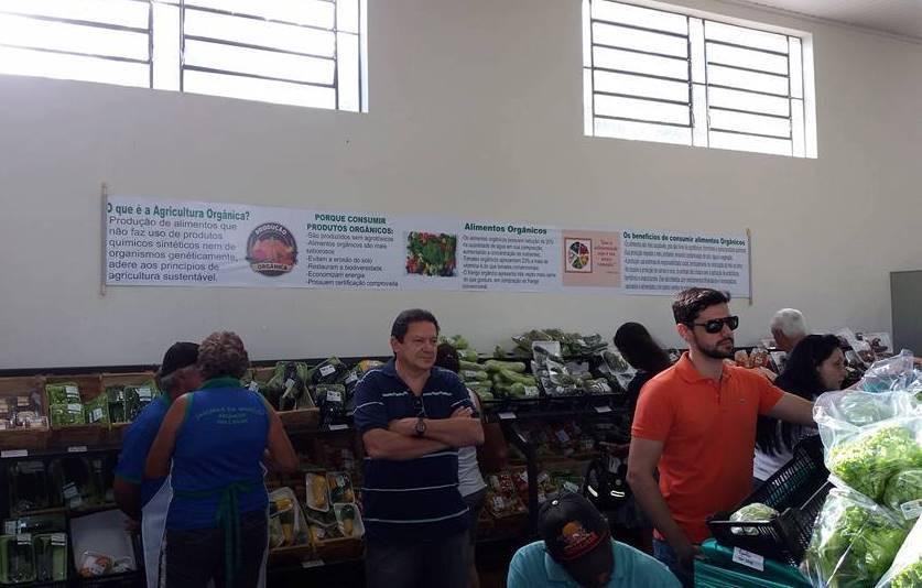 Imagem 2 da galeria