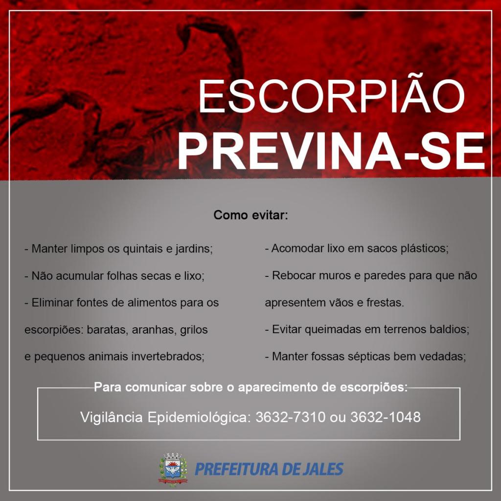 Prefeitura orienta a população para evitar escorpiões