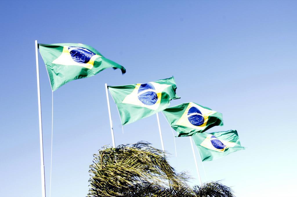 Imagem 4 da galeria