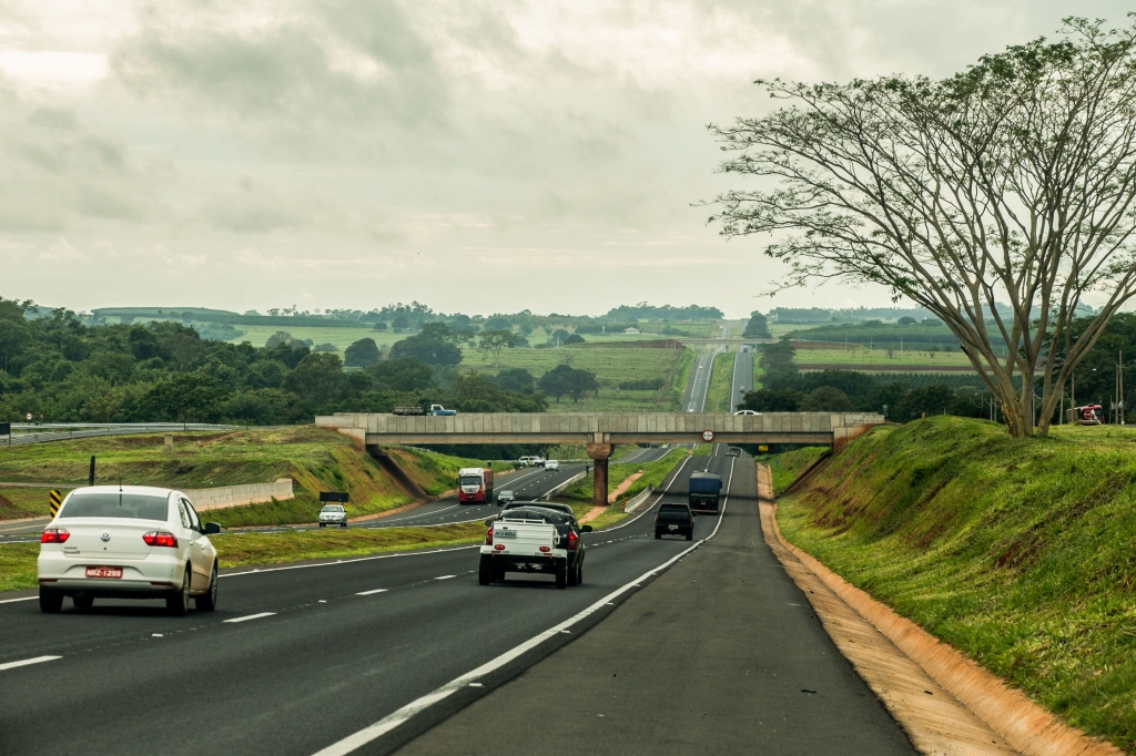 DER responde requerimento sobre roçagem na Rodovia Euclides da Cunha