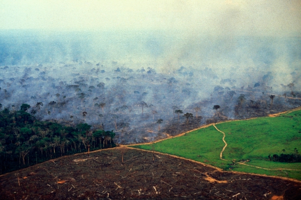 Brasil tem maior número de queimadas em sete anos