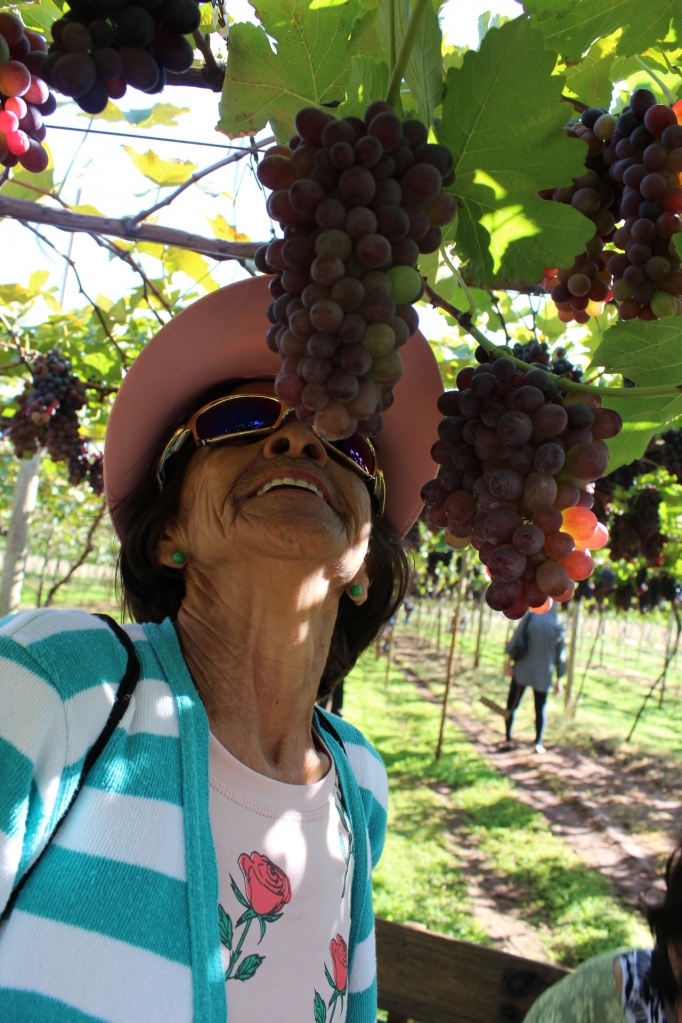 Difícil foi resistir aos lindos cachos de uvas
