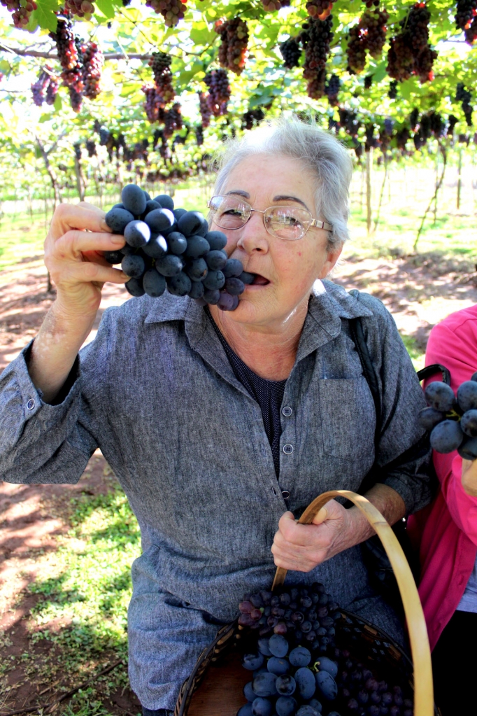 Teve quem preferiu as deliciosas uvas sem semente