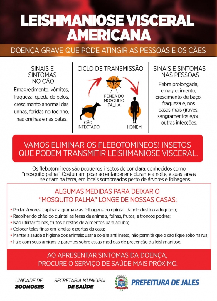 Imagem 1 da galeria