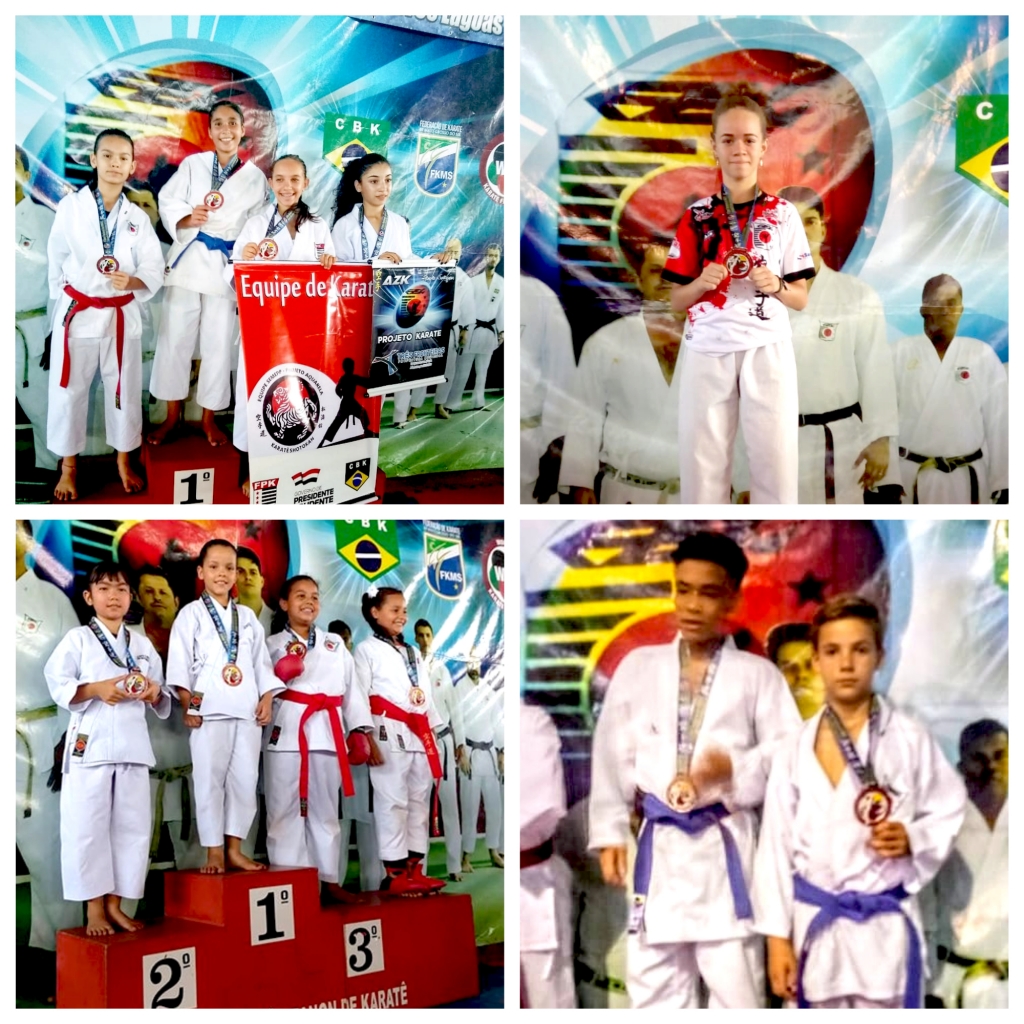 Emily Sthéfany de Brito, Julia Silveira Silva, Lavínia Satomi M. Mori e Rafael Barco Severino ganharam medalhas de ouro e bronze nas competições