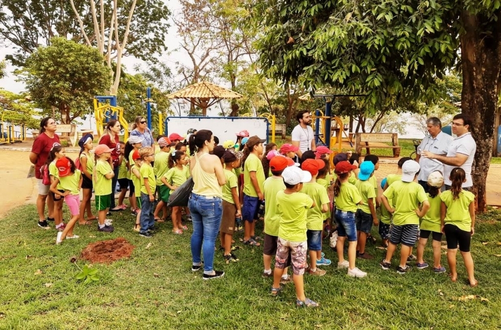 Imagem 5 da galeria