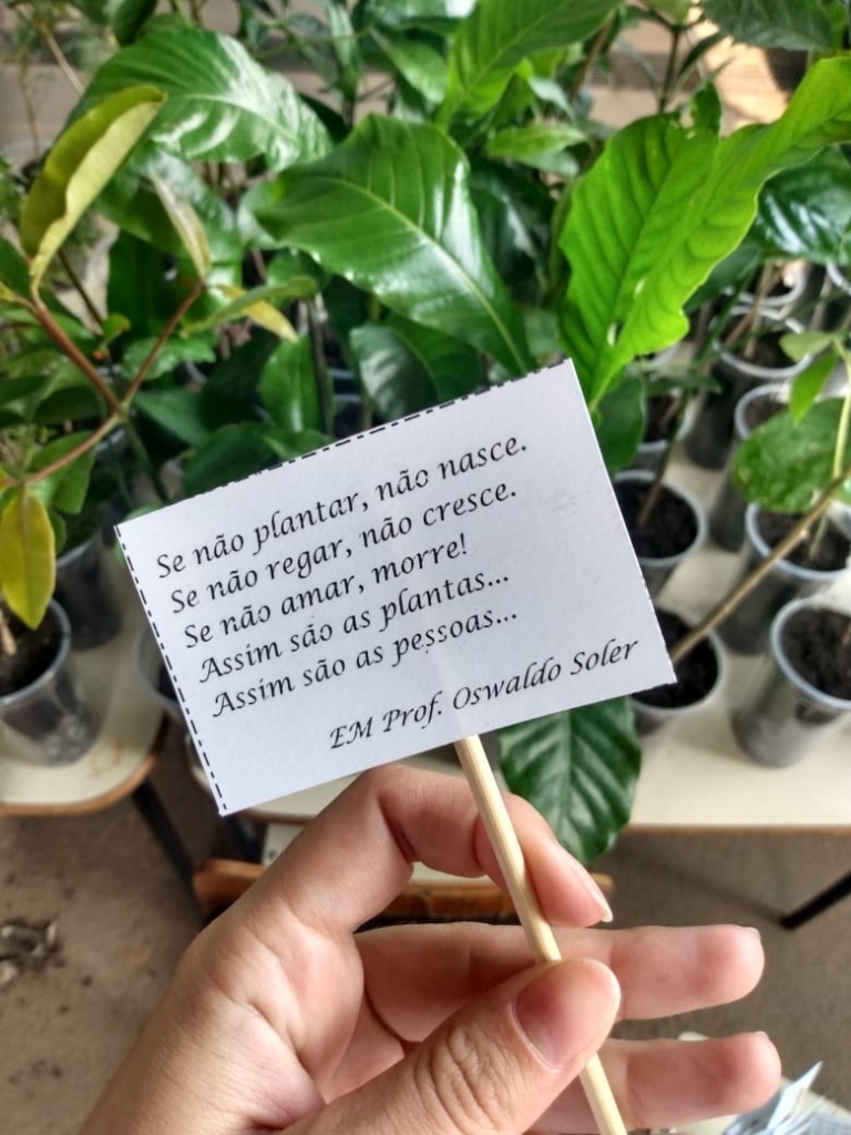 Mensagens positivas foram transmitidas aos pais e às crianças