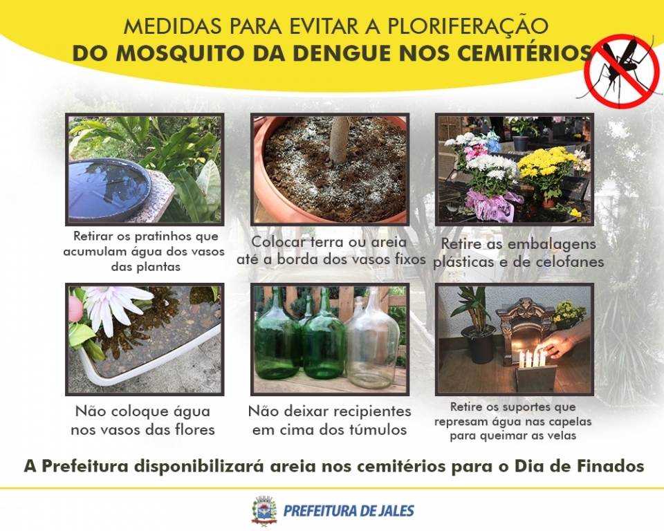 Imagem 1 da galeria