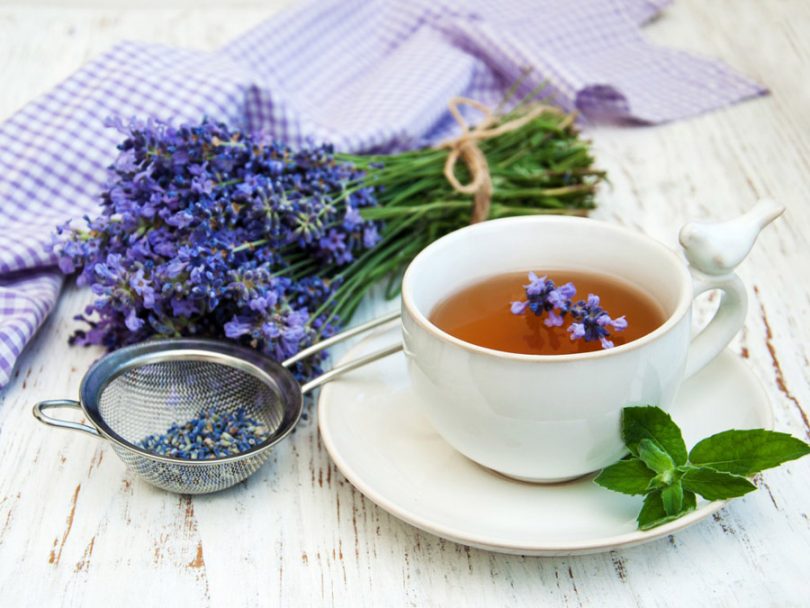 A lavanda possui inúmeros benefícios