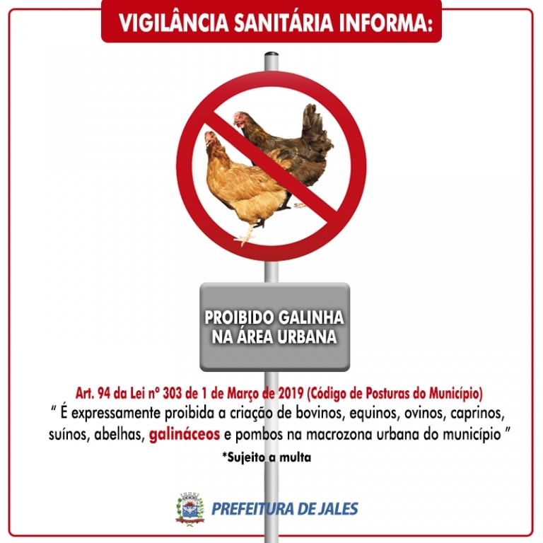 Imagem 1 da galeria