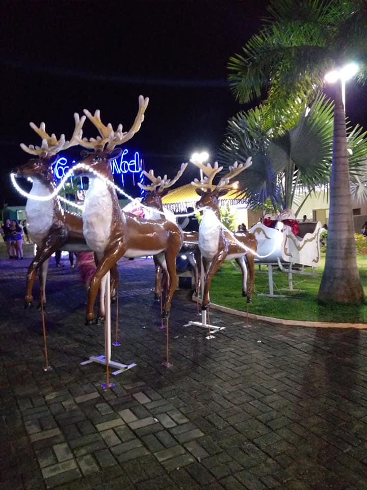 O trenó do Papai Noel é uma das maiores atrações do Natal Iluminado