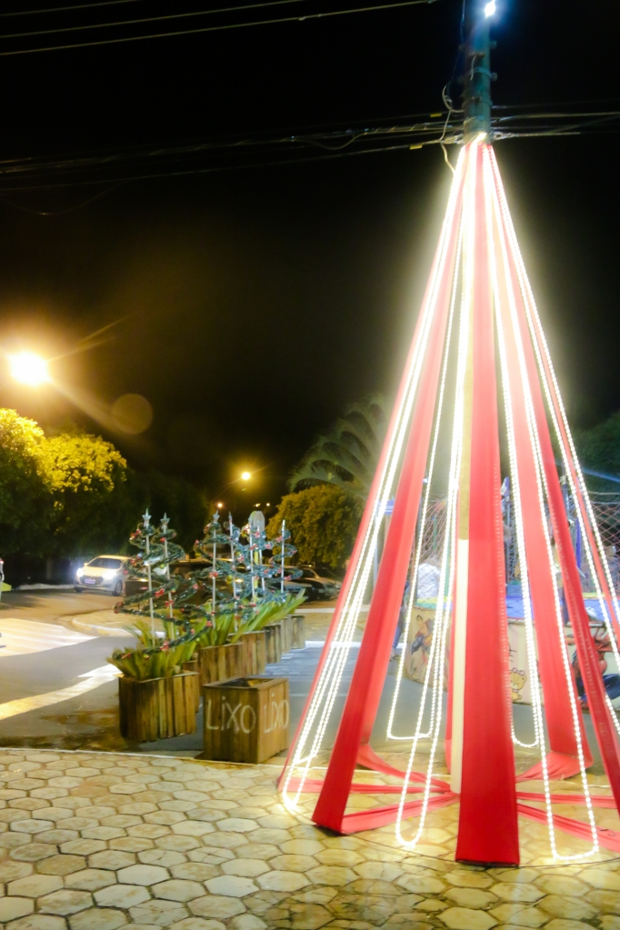 Outras belíssimas árvores  foram instaladas