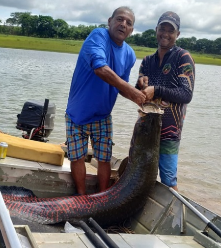 Exemplar fisgado em Cardoso pesou 73 kg