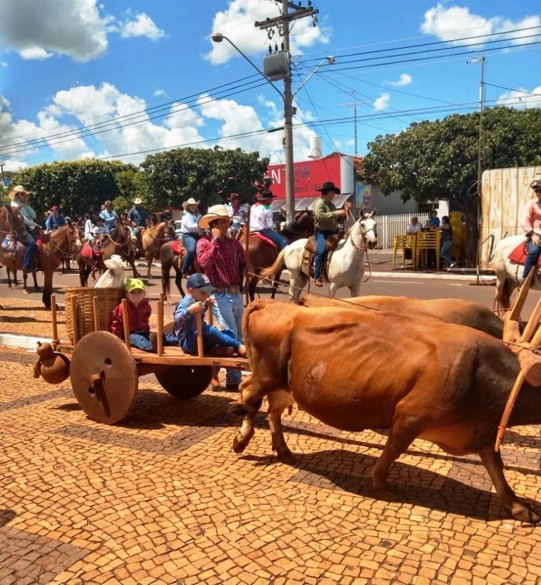 Imagem 8 da galeria