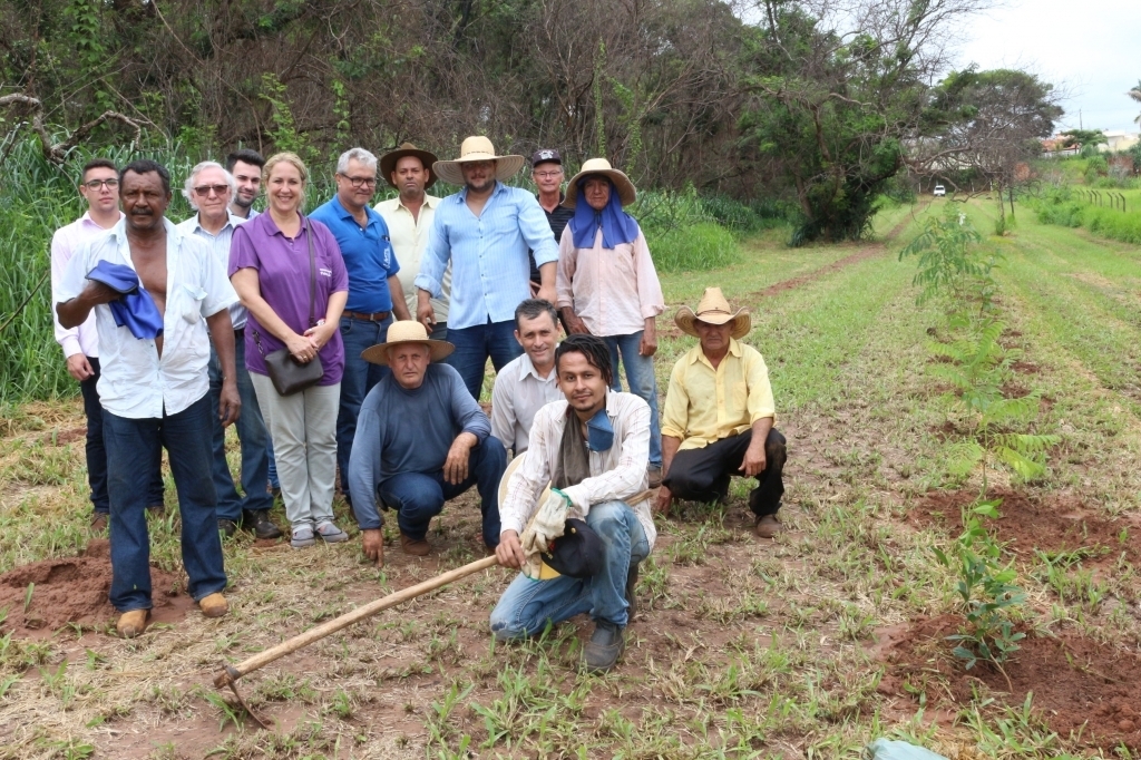 Prefeitura de Jales inicia plantio de mudas no Bosque Municipal