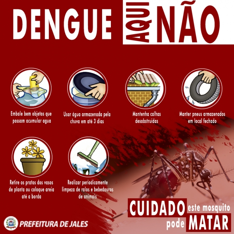 Imagem 1 da galeria