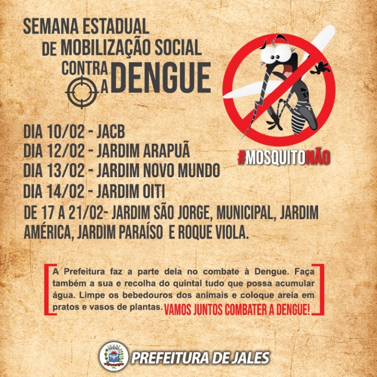 Imagem 2 da galeria