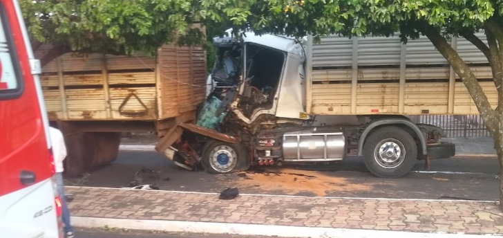 Motorista fica ferido em batida entre caminhões em avenida de Santa Salete