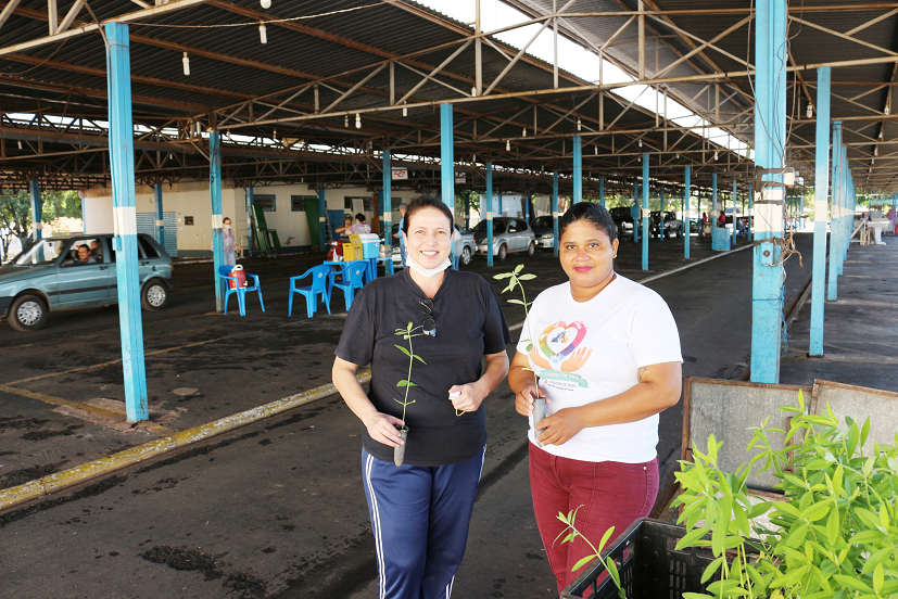 Equipe Municipal de Combate às Endemias de Jales intensifica medidas contra a dengue