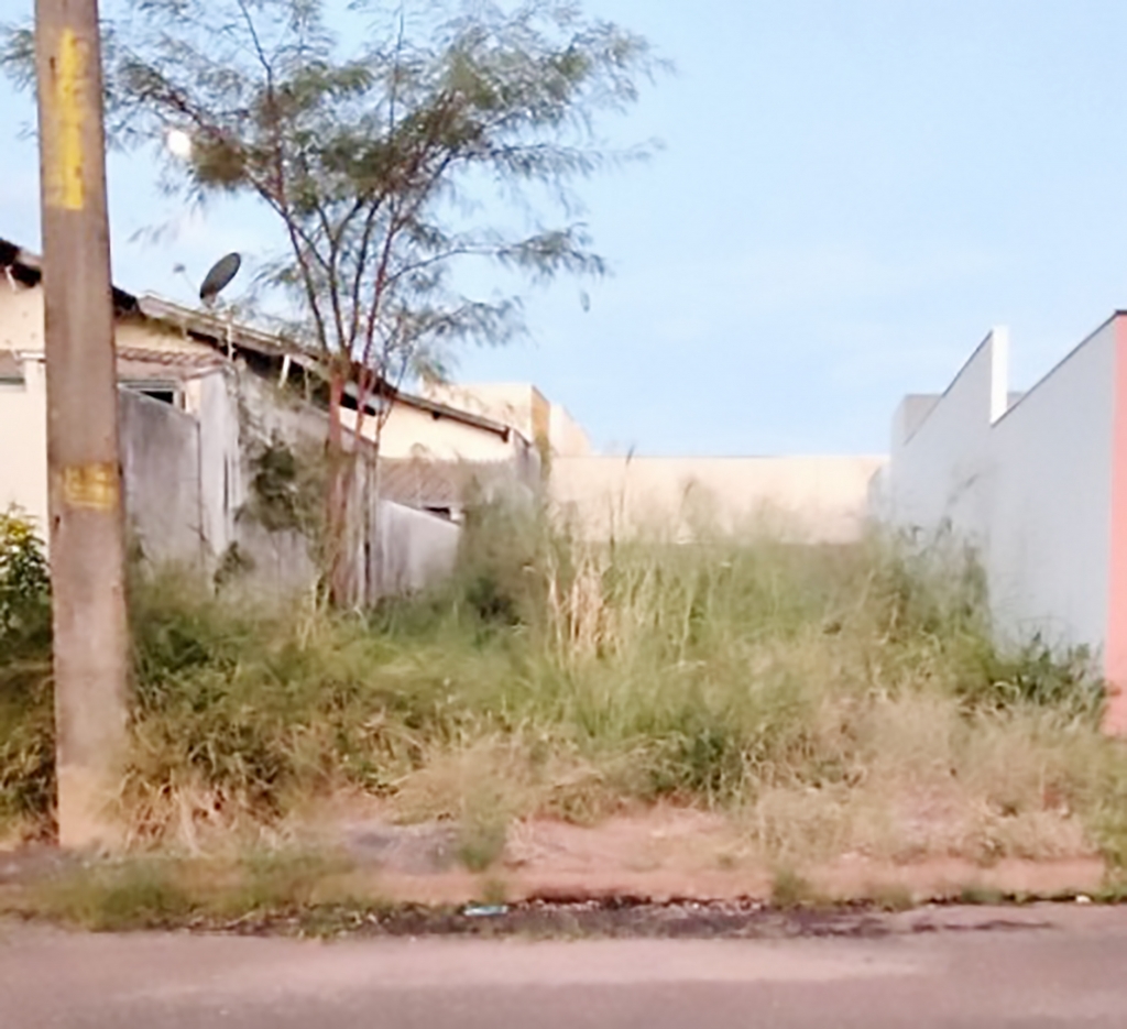 Prefeitura de Fernandópolis notifica mais de 500 terrenos sujos