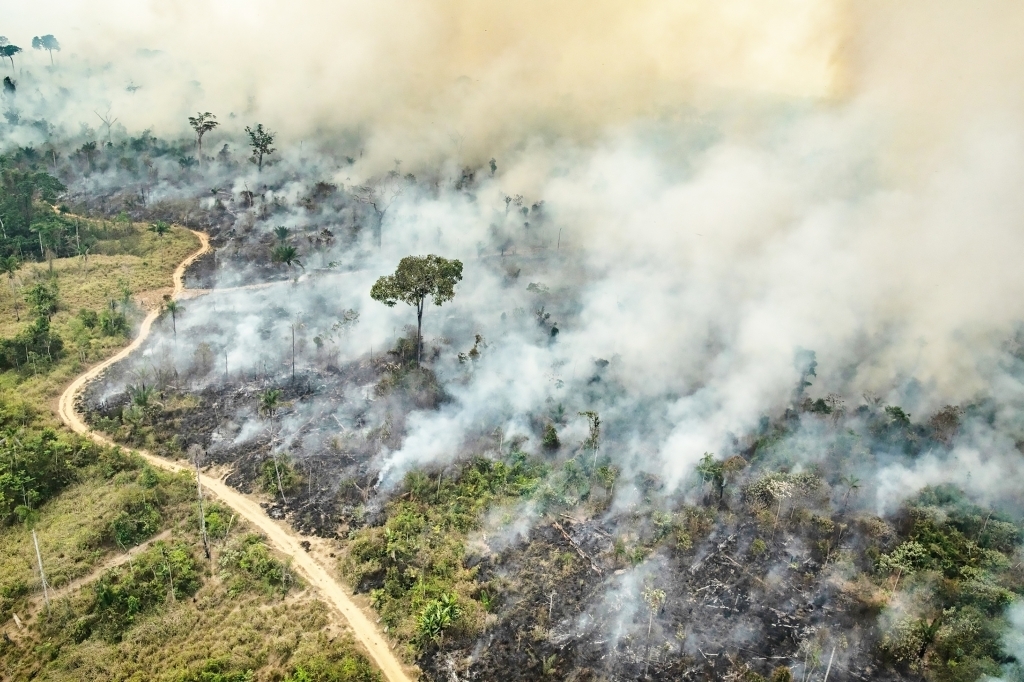 É alto o risco de surgir uma pandemia a partir da Amazônia, avalia cientista