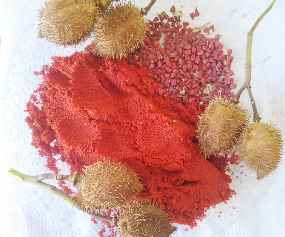Entrando no tema vencedor “Corantes naturais na alimentação”, a professora Rosalina publicou no álbum do Projeto sobre o colorau, corante de urucum. Na descrição ela ensina um pouco sobre a utilização das sementes, tradicionalmente usadas por índios brasi