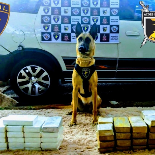 Funcionário da Prefeitura é preso com 21 tijolos de pasta de cocaína