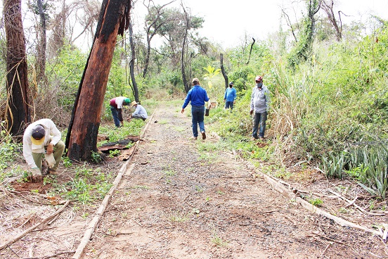 Mais de 200 mudas foram plantadas pela Secretaria de Agricultura e Meio Ambiente no Bosque Municipal para comemorar o Dia do Meio Ambiente