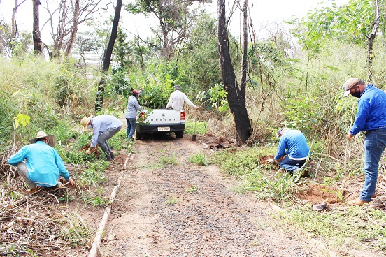 Mais de 200 mudas foram plantadas pela Secretaria de Agricultura e Meio Ambiente no Bosque Municipal para comemorar o Dia do Meio Ambiente
