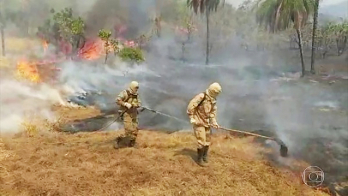 Funcionário de usina morre durante combate a incêndio em cidade da região